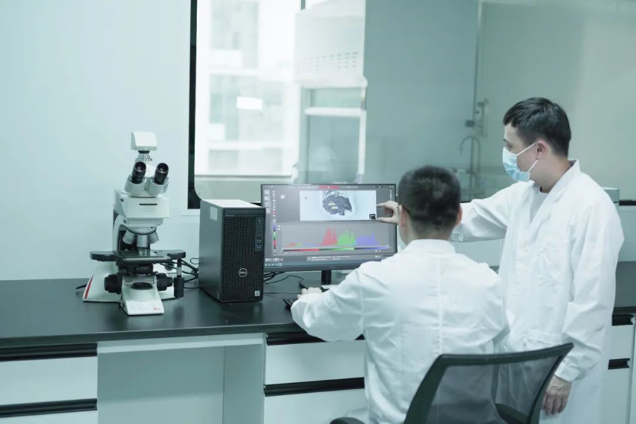 �Ƿ�����(�й���)-�ٷ���վ